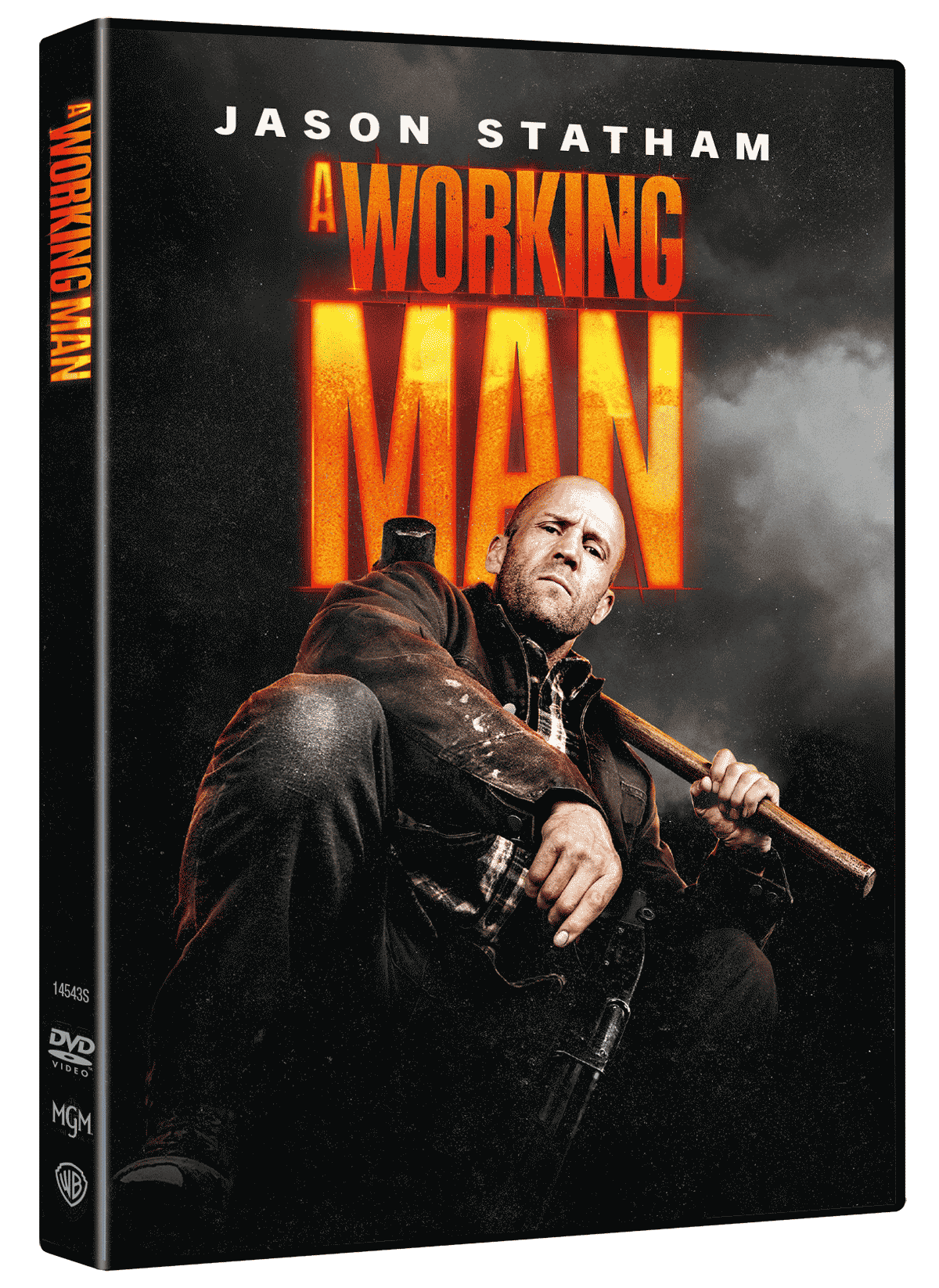 A Working Man (DVD)