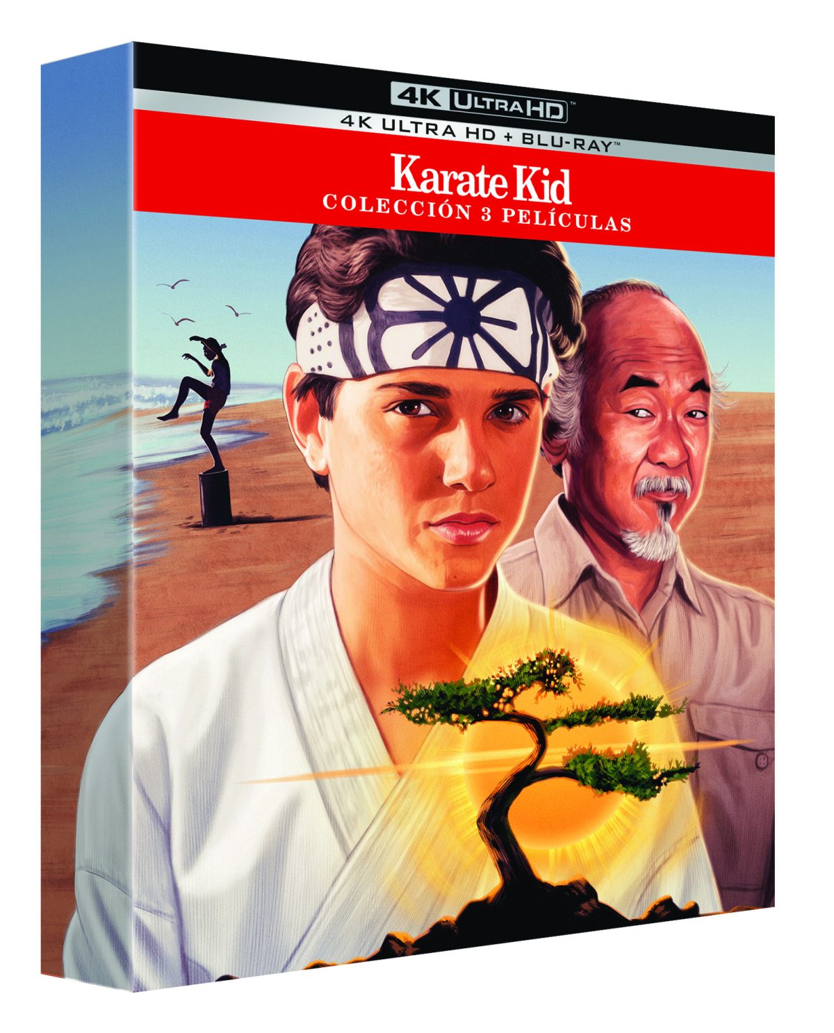 Karate Kid: Pack 1-3 (Ed. Slipcase) (4K UHD + Blu-ray)