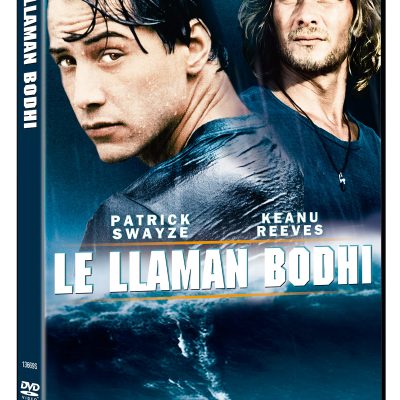 Le llaman Bodhi (DVD)