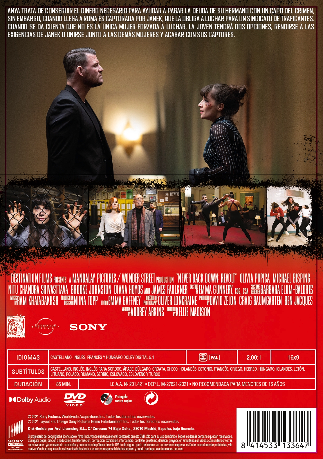 Never Back Down: Revolt (DVD)