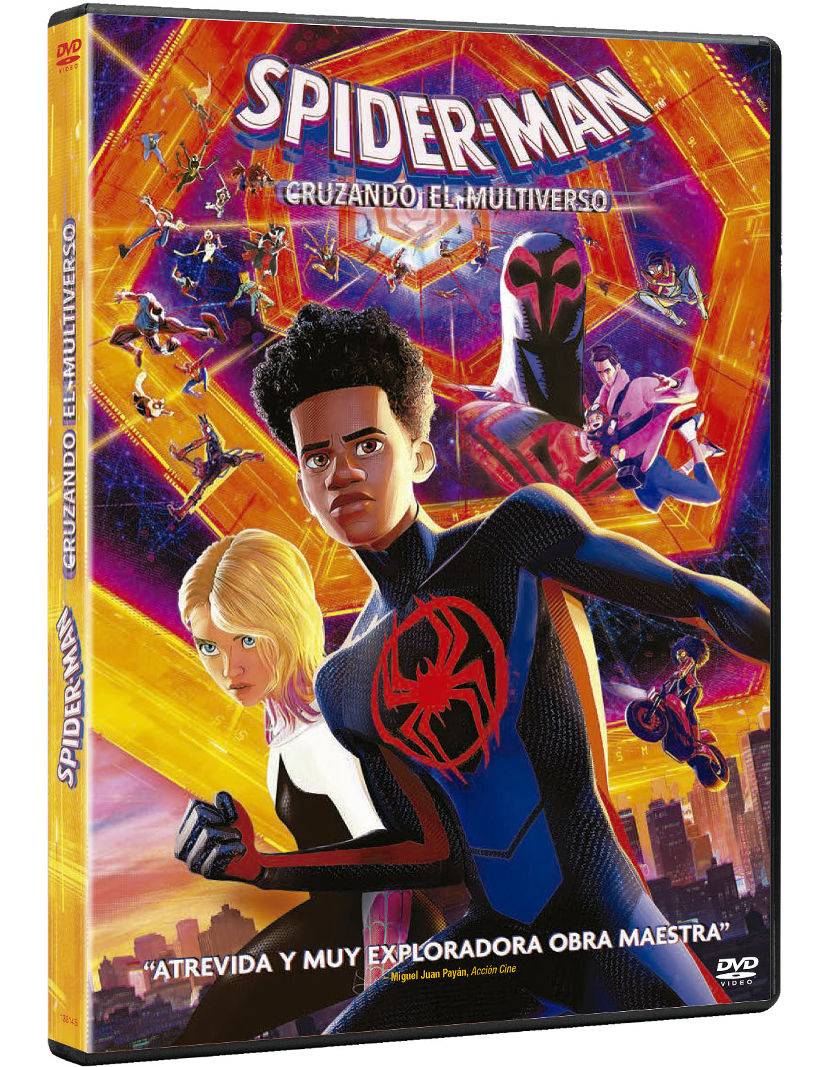 Spider-Man: Cruzando el multiverso (DVD)