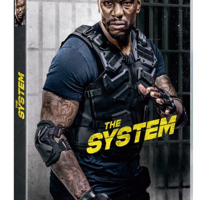 The System (DVD)