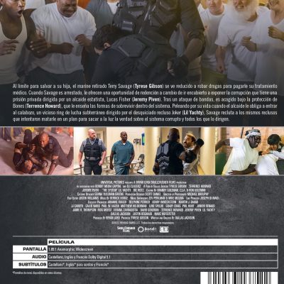 The System (DVD)